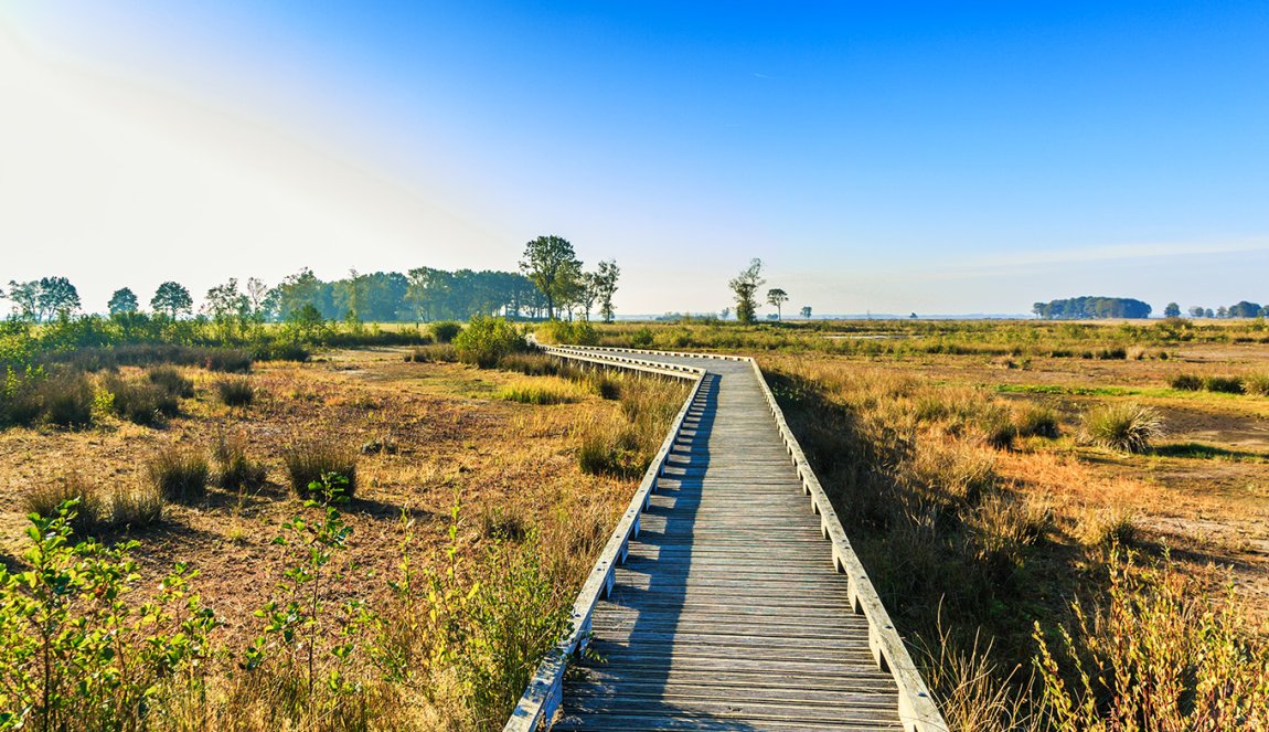 Explore The Beautiful National Parks Of The Netherlands - Holland.com